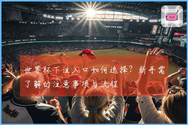世界杯下注入口如何选择？新手需了解的注意事项与流程