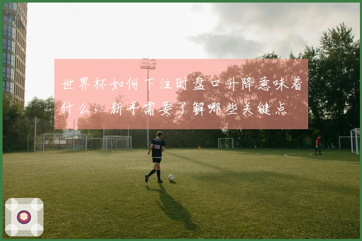 世界杯如何下注时盘口升降意味着什么，新手需要了解哪些关键点