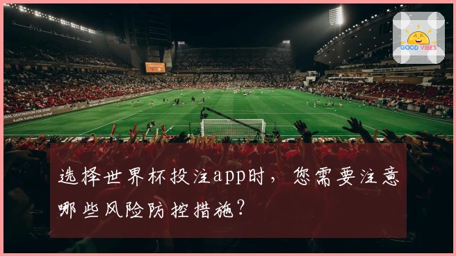 选择世界杯投注app时，您需要注意哪些风险防控措施？