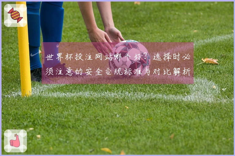 世界杯投注网站哪个好？选择时必须注意的安全合规标准与对比解析