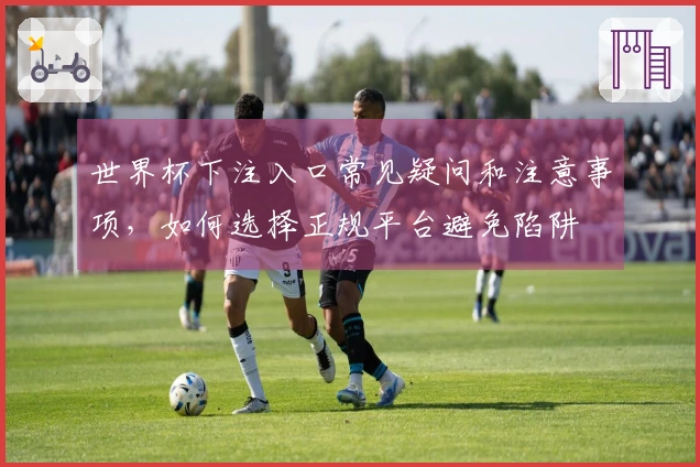 世界杯下注入口常见疑问和注意事项，如何选择正规平台避免陷阱