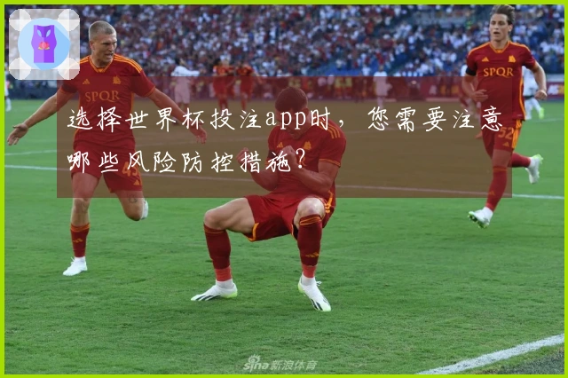 选择世界杯投注app时，您需要注意哪些风险防控措施？