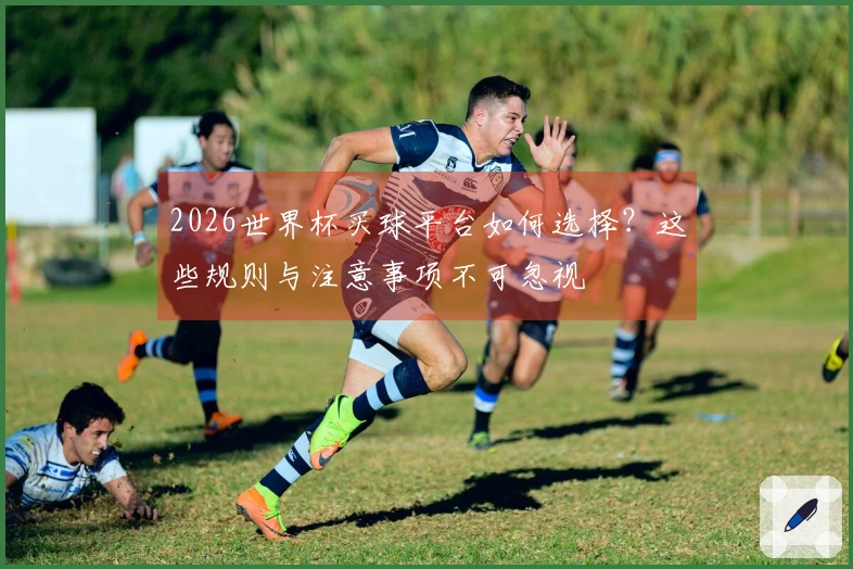 2026世界杯买球平台如何选择？这些规则与注意事项不可忽视