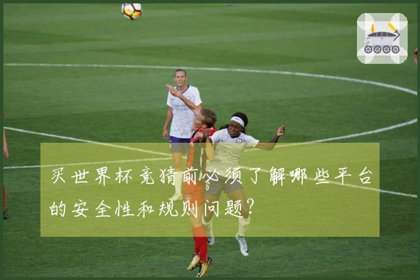 买世界杯竞猜前必须了解哪些平台的安全性和规则问题？