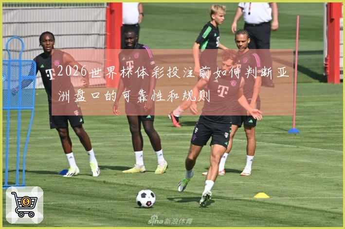 2026世界杯体彩投注前如何判断亚洲盘口的可靠性和规则