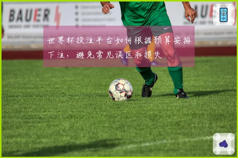 世界杯投注平台如何根据预算安排下注，避免常见误区和损失