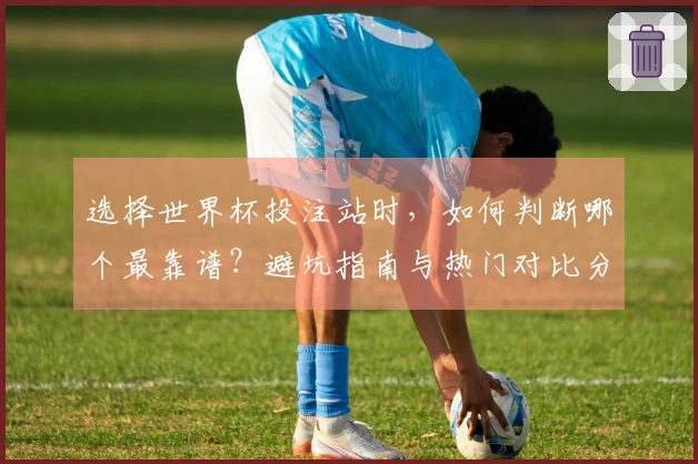 选择世界杯投注站时，如何判断哪个最靠谱？避坑指南与热门对比分析