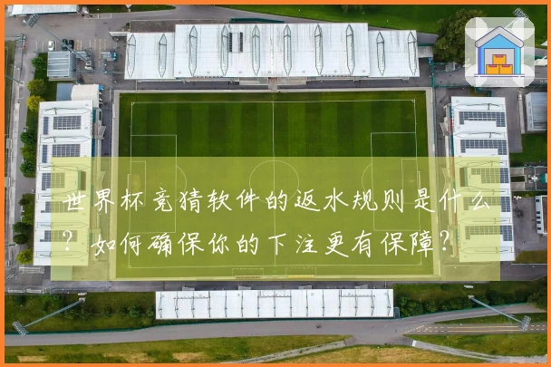 世界杯竞猜软件的返水规则是什么？如何确保你的下注更有保障？