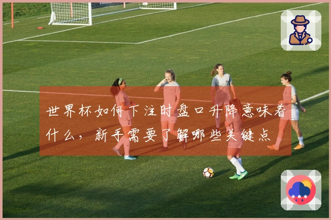 世界杯如何下注时盘口升降意味着什么，新手需要了解哪些关键点
