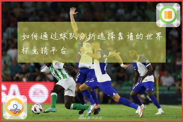 如何通过球队分析选择靠谱的世界杯竞猜平台