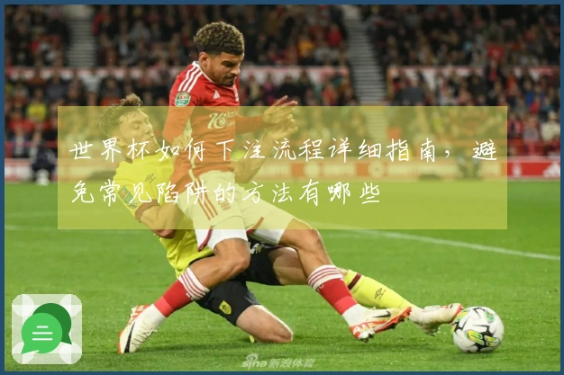世界杯如何下注流程详细指南，避免常见陷阱的方法有哪些