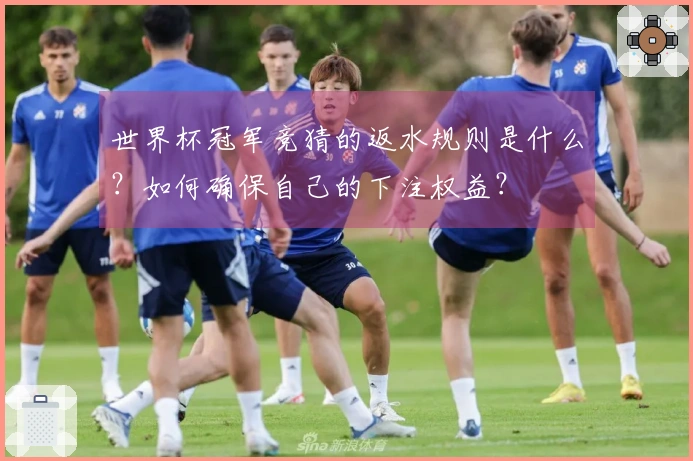 世界杯冠军竞猜的返水规则是什么？如何确保自己的下注权益？