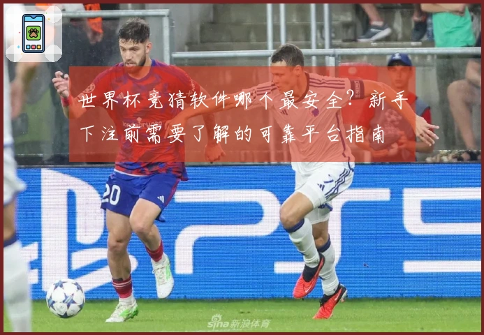 世界杯竞猜软件哪个最安全？新手下注前需要了解的可靠平台指南