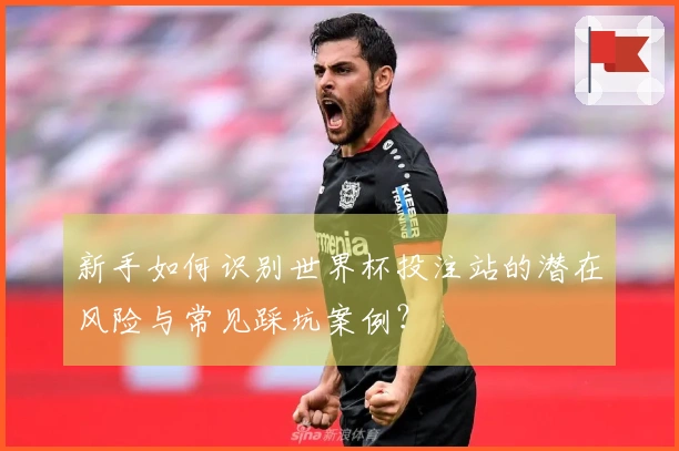 新手如何识别世界杯投注站的潜在风险与常见踩坑案例？