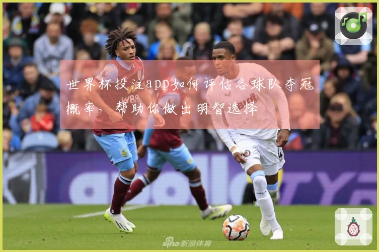 世界杯投注app如何评估各球队夺冠概率，帮助你做出明智选择