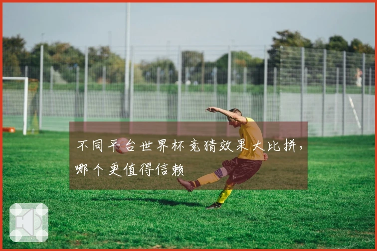 不同平台世界杯竞猜效果大比拼，哪个更值得信赖