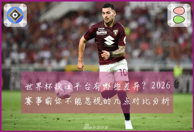 世界杯投注平台有哪些差异？2026赛事前你不能忽视的几点对比分析