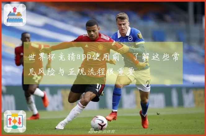 世界杯竞猜app使用前，了解这些常见风险与正规流程很重要