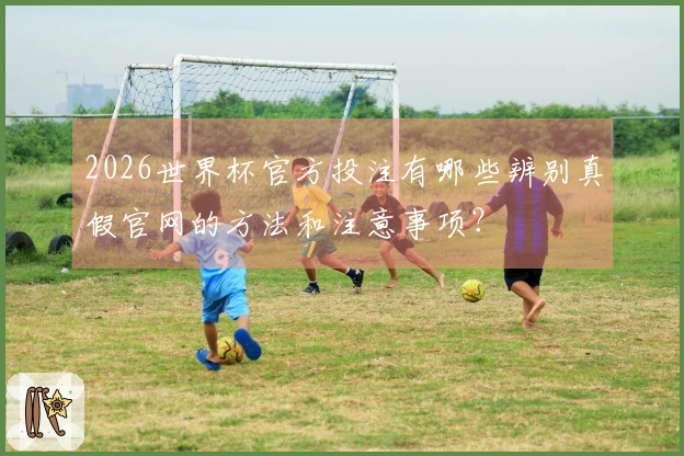 2026世界杯官方投注有哪些辨别真假官网的方法和注意事项？
