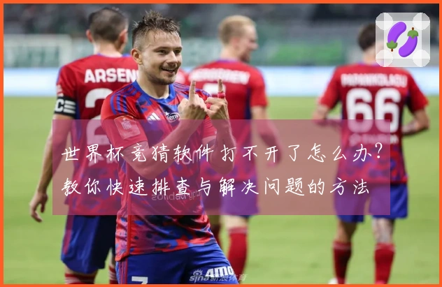 世界杯竞猜软件打不开了怎么办？教你快速排查与解决问题的方法