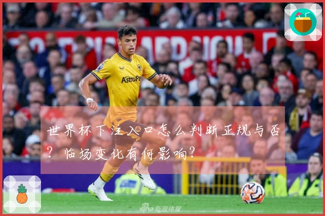 世界杯下注入口怎么判断正规与否？临场变化有何影响？