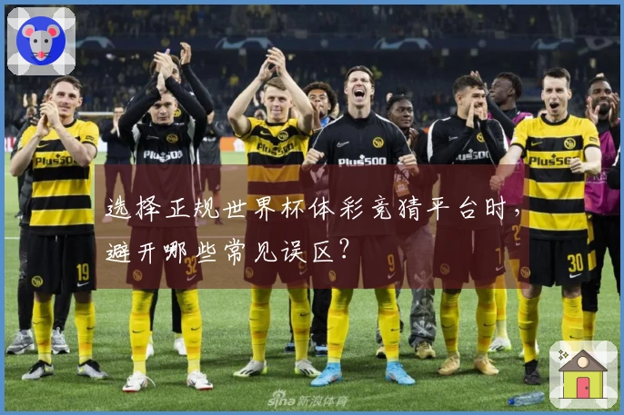 选择正规世界杯体彩竞猜平台时，避开哪些常见误区？