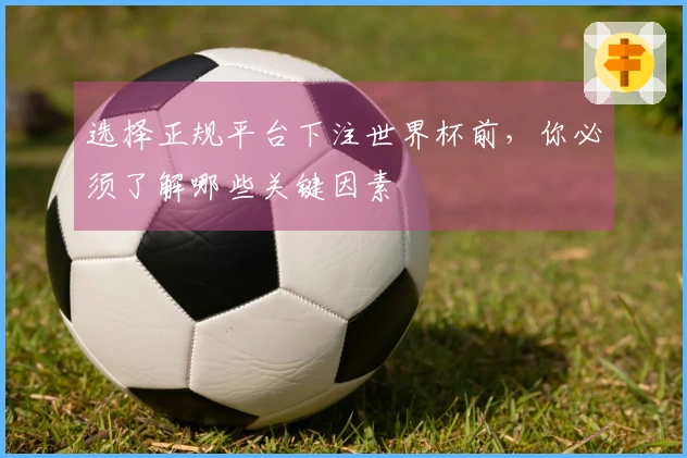 选择正规平台下注世界杯前，你必须了解哪些关键因素