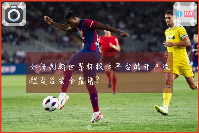 如何判断世界杯投注平台的开户流程是否安全靠谱？