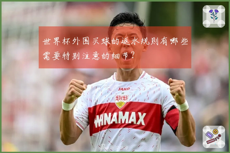 世界杯外围买球的返水规则有哪些需要特别注意的细节?