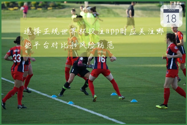 选择正规世界杯投注app时应关注哪些平台对比和风险防范