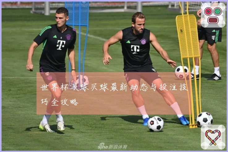 世界杯滚球买球最新动态与投注技巧全攻略