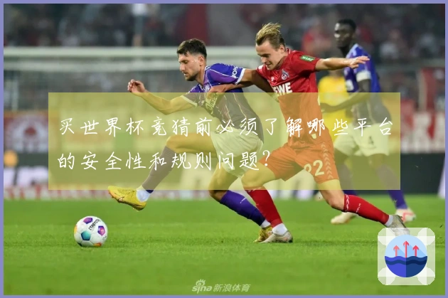 买世界杯竞猜前必须了解哪些平台的安全性和规则问题？